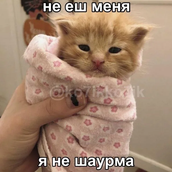 1781014410674.webp