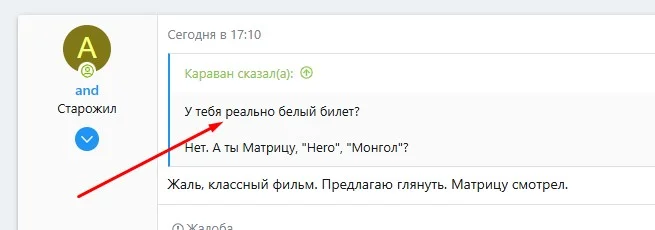 789.webp
