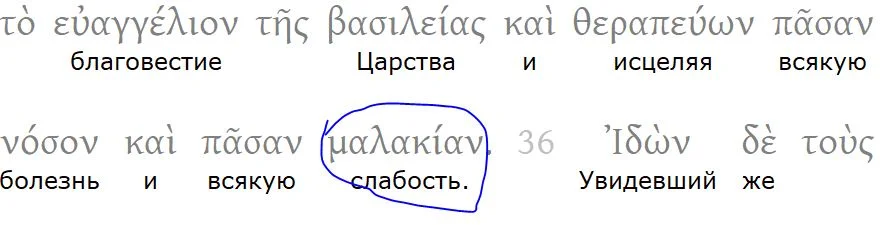 пвпавп.webp