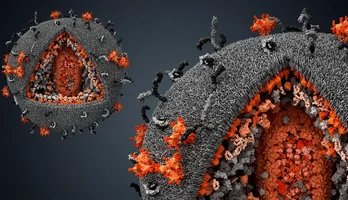 1706506714442.png 1706506714442.png