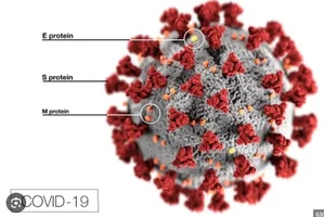 1706506905355.png 1706506905355.png