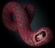 1706507028633.png 1706507028633.png