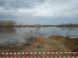 1713469236954.png 1713469236954.png