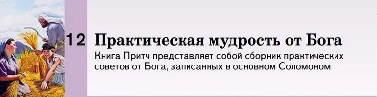 1677524302579.webp