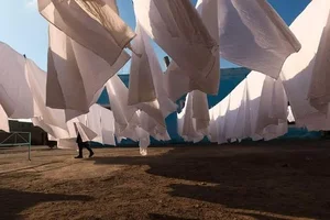 1771660012191.webp 1771660012191.webp