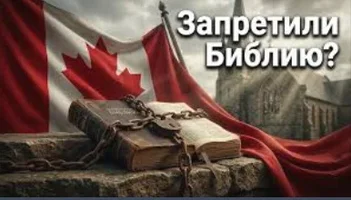 1780319498117.webp 1780319498117.webp